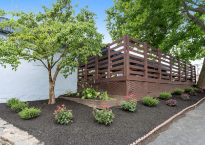 Garden area with a small tree and bushes